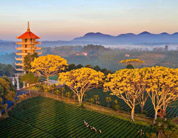 Hành Hương Phật Giáo Bảo Lộc – Tứ Tự Blao 2N1D