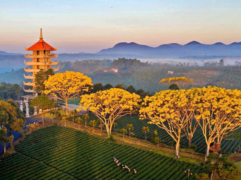 Hành Hương Phật Giáo Bảo Lộc – Tứ Tự Blao 2N1D