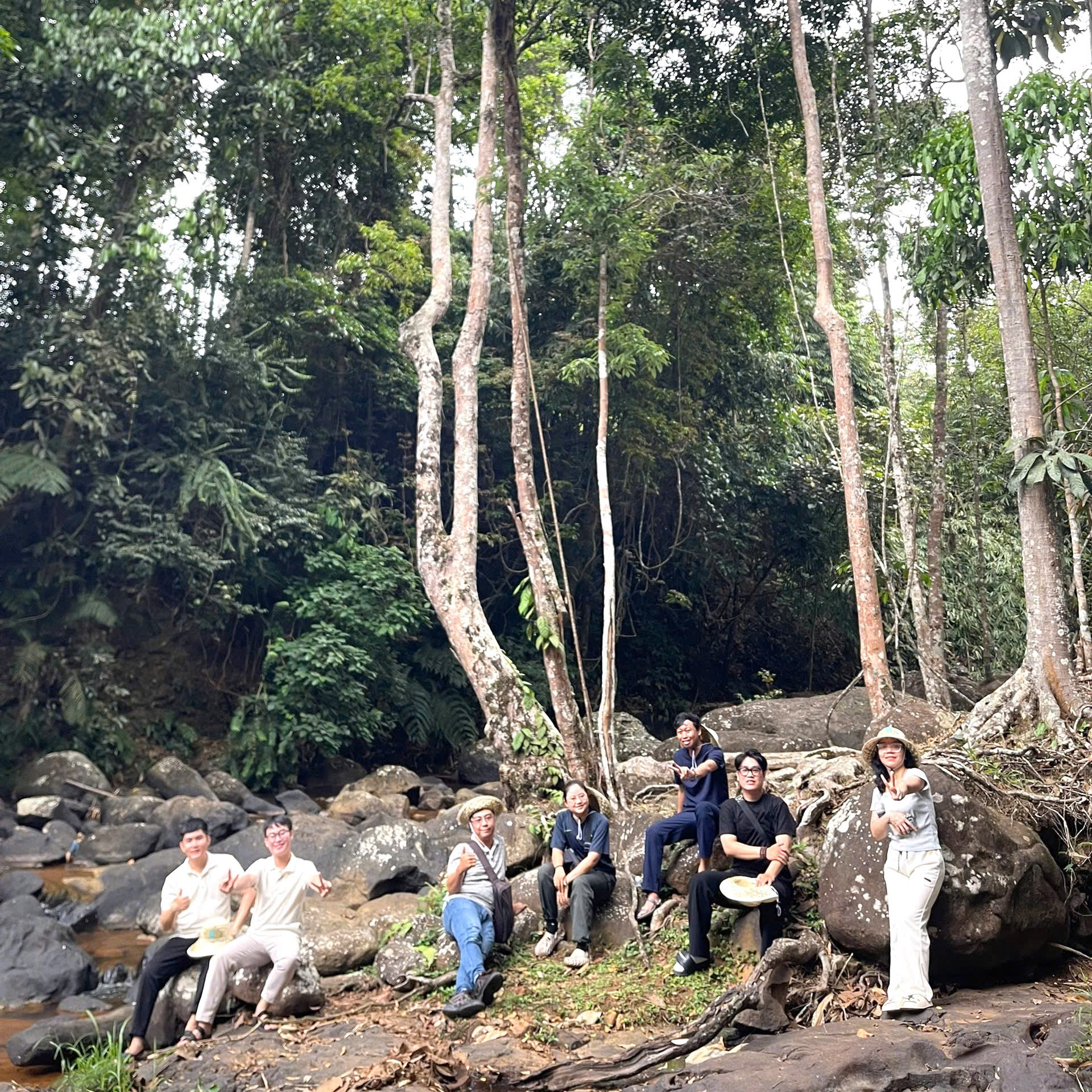 Hành trình Dưỡng An Sinh - DAS Tour